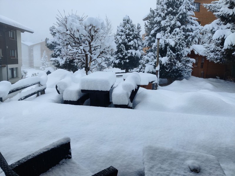 Neige fraîche du dimanche matin