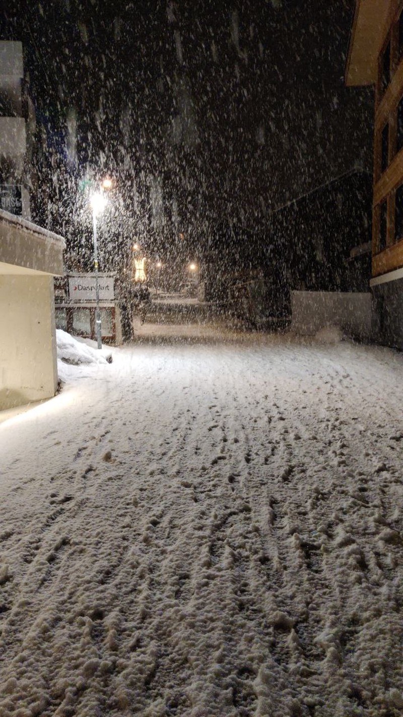 Neige fraîche du samedi